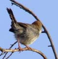 DSCF5032