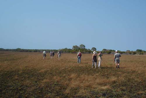 09-Birding_Rio_Savanne