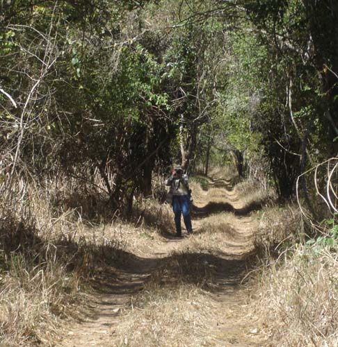 19-Coutada_Track