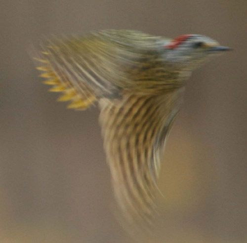 485