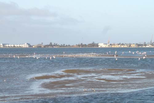 03.01-Walvis-Bay