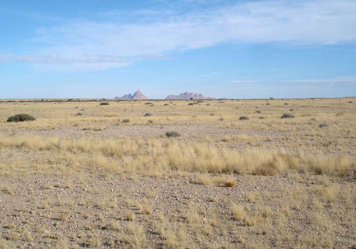 04.01-Namib-looking-towards-Spitskoppe