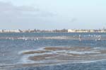 03.01-Walvis-Bay