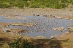 08.03-Halali-Waterhole